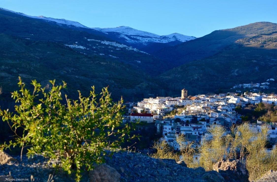 El Montoro Maison d'hôtes